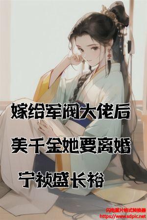 嫁给军阀大佬后美千金她要离婚宁祯盛长裕