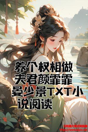 养个权相做夫君颜霏霏晏少景TXT小说阅读