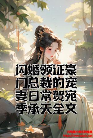 闪婚领证豪门总裁的宠妻日常贺宛季承天全文